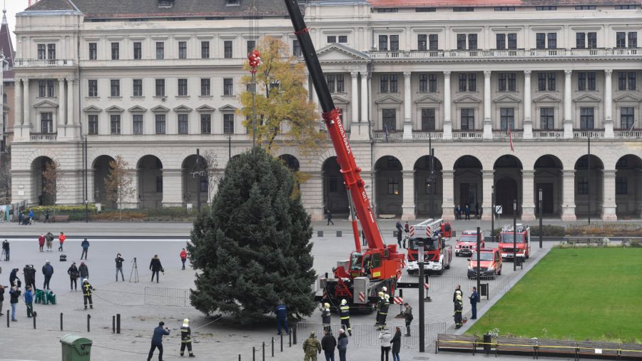 Felállították a 20 méter magas ország karácsonyfáját Budapesten