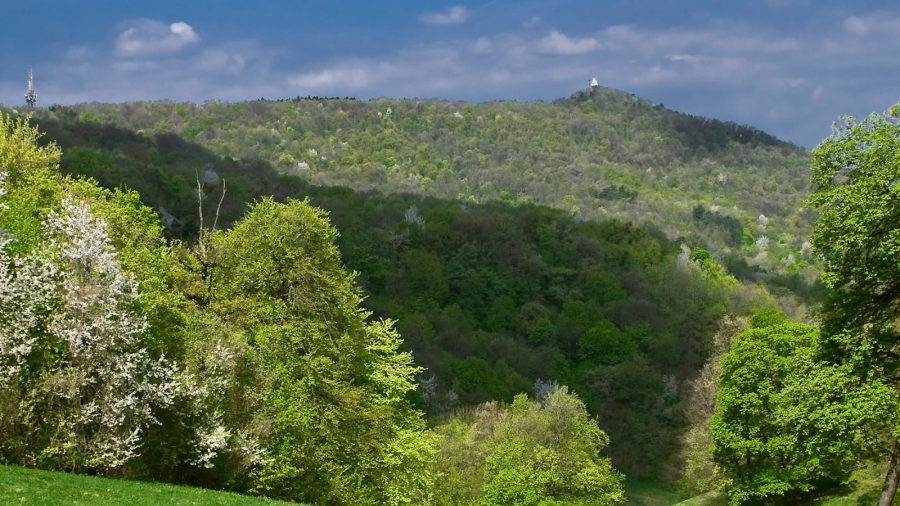 Hétvégétől fizetni kell a Normafa parkolójában