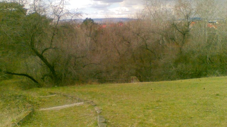 Tamariska-domb Budapest