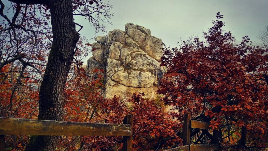 A Tündér-szikla és titokzatos teremtményei