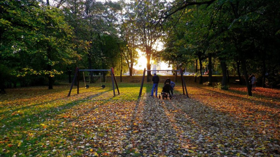 Felújítanák az elmúlt időszakban kevés figyelmet kapott Népligetet