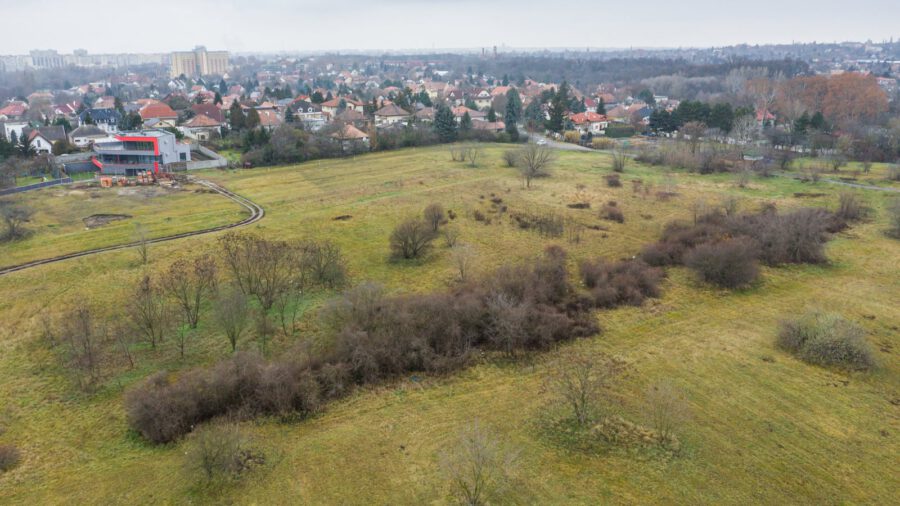 Nemzeti emlékhellyé nyilvánították a rákosmezei Királydombot