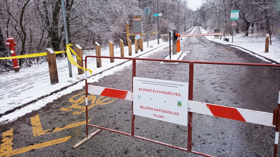 Lezárták a Normafa és a János-hegy környékét az ónos eső miatt
