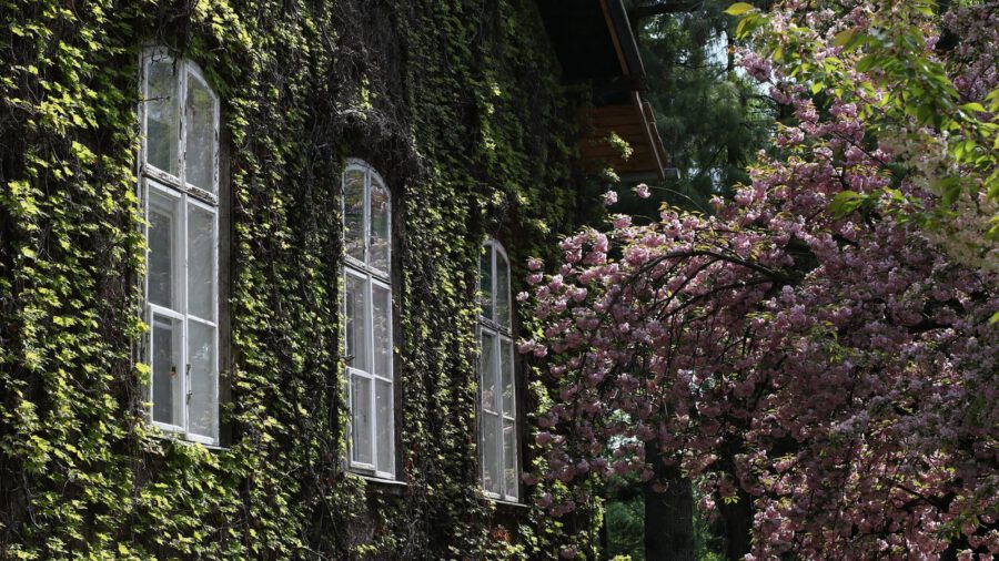 Gitárfesztivál a Füvészkertben 2023 Budapest