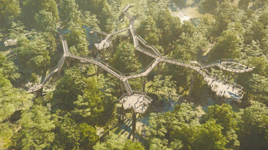 Lombkorona-tanösvény épül a Normafán