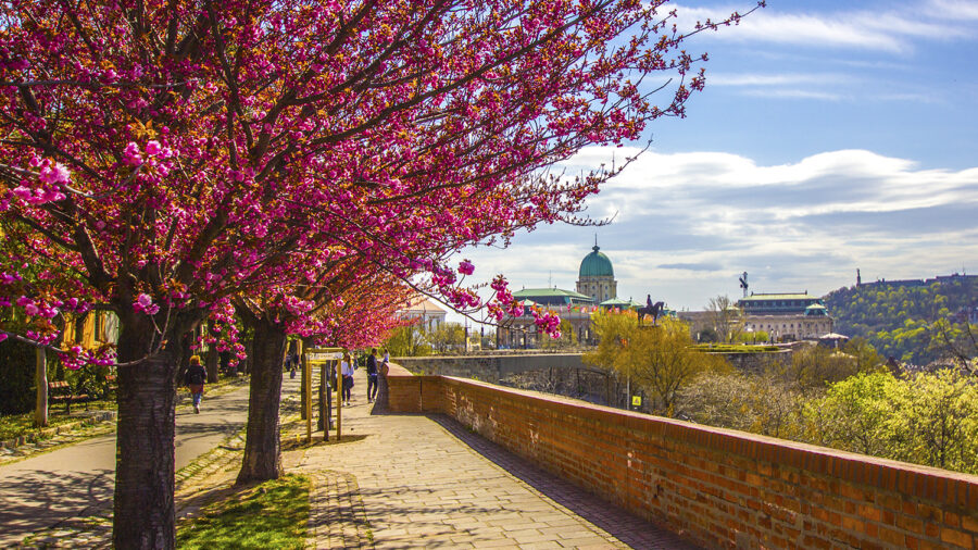 Budapesti Tavaszi Fesztivál 2023