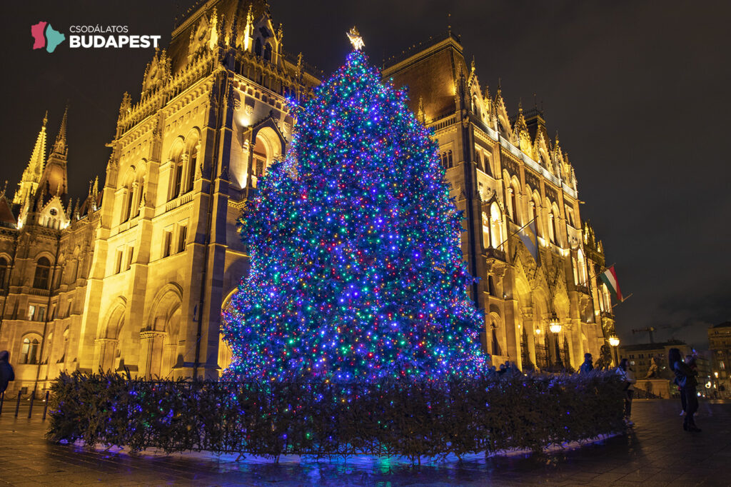16000 izzóval pompázik az Ország Karácsonyfája a Kossuth téren