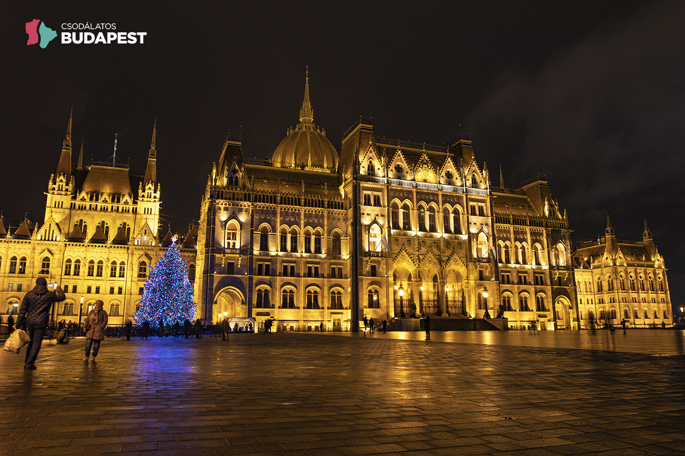 16000 izzóval pompázik az Ország Karácsonyfája a Kossuth téren