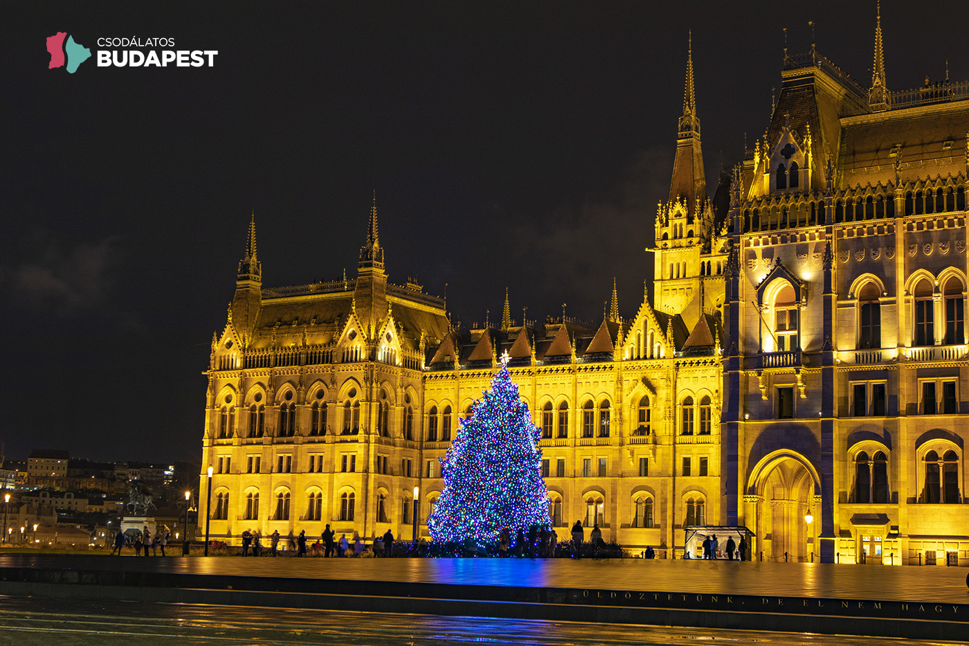 16000 izzóval pompázik az Ország Karácsonyfája a Kossuth téren