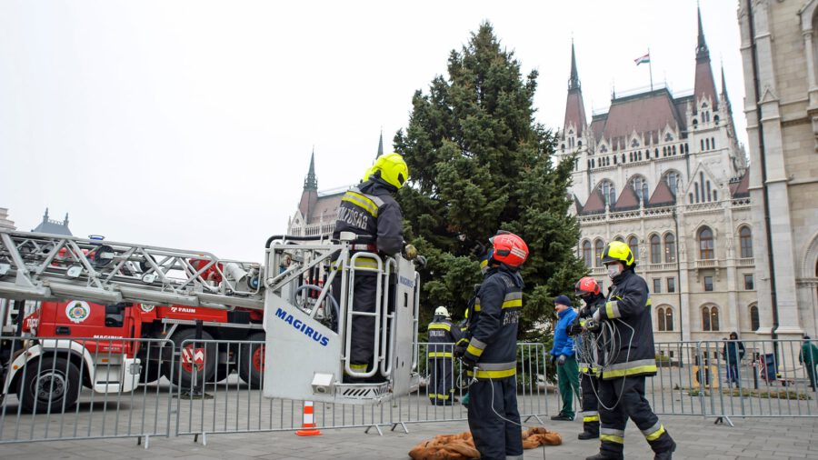 Már áll az ország 18 méteres karácsonyfája az Országház előtt