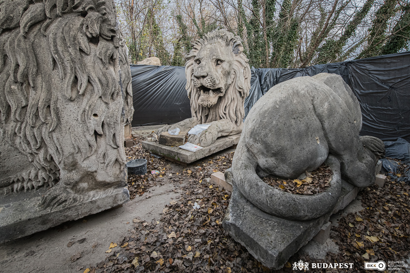 Kőoroszlán restaurálás