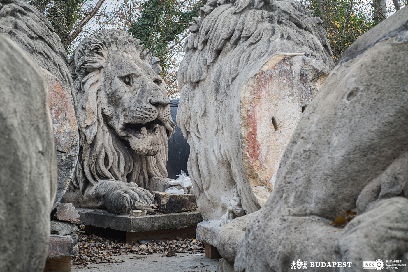 Kőoroszlán restaurálás