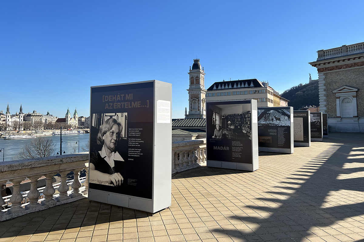 A Várkert Bazárban szabadtéri kiállítás mutatja be Nemes Nagy Ágnes életművét