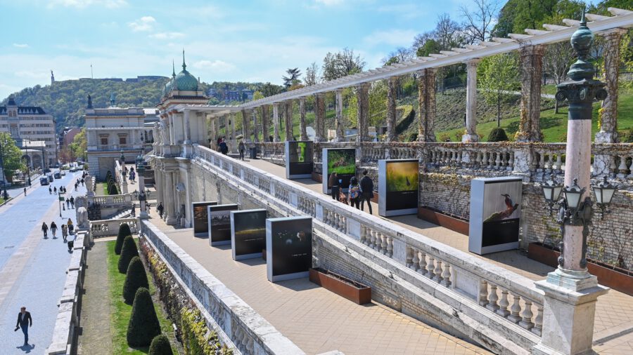 A V4-országok természeti csodáit bemutató fotókiállítás nyílt a Várkert Bazárban