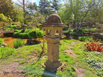 Zuglói Japánkert, ahol Takamacu herceg, a japán császári család tagja is járt