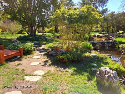 Zuglói Japánkert, ahol Takamacu herceg, a japán császári család tagja is járt