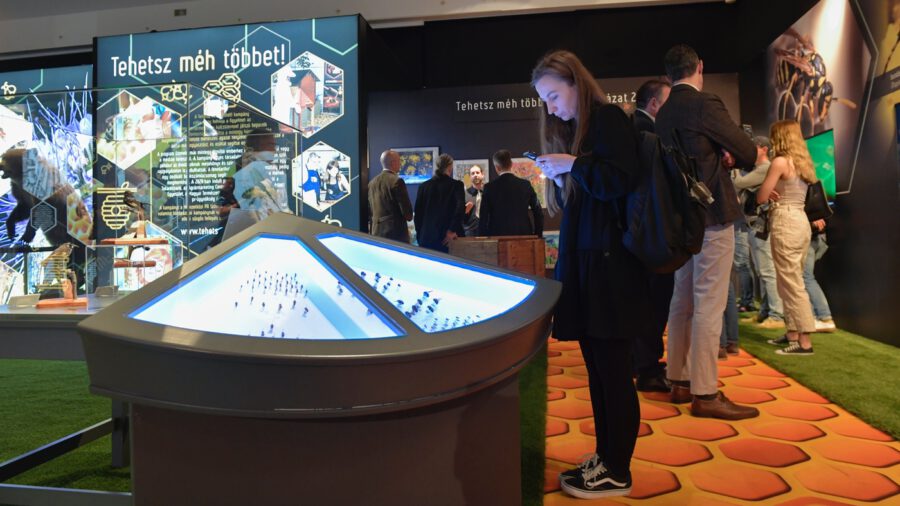 A Természettudományi Múzeumban látható Európa legnagyobb beporzótárlata