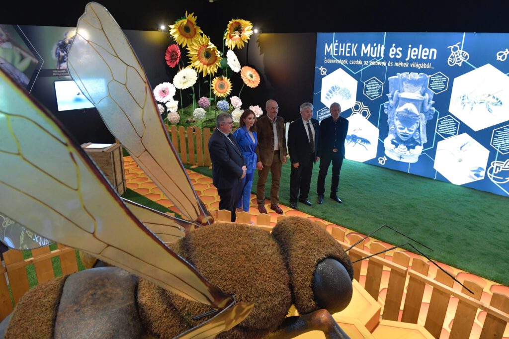 A Természettudományi Múzeumban látható Európa legnagyobb beporzótárlata