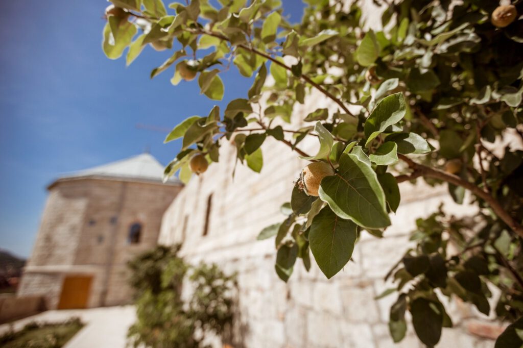 A Budavári Palotanegyed édenkertje, az újonnan kialakított Török kert