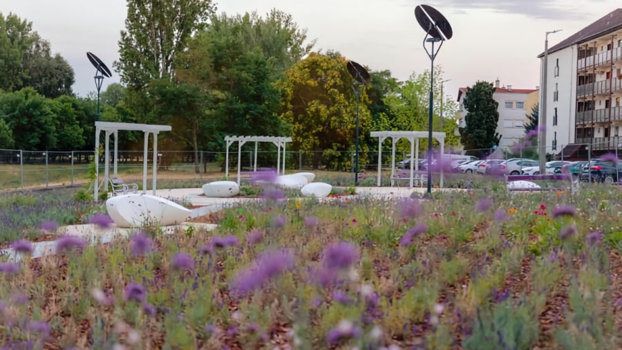 Levendulapark épült Újpesten, lilába öltözik a Szilas-patak menti tér