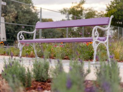 Levendulapark épült Újpesten, lilába öltözik a Szilas-patak menti tér