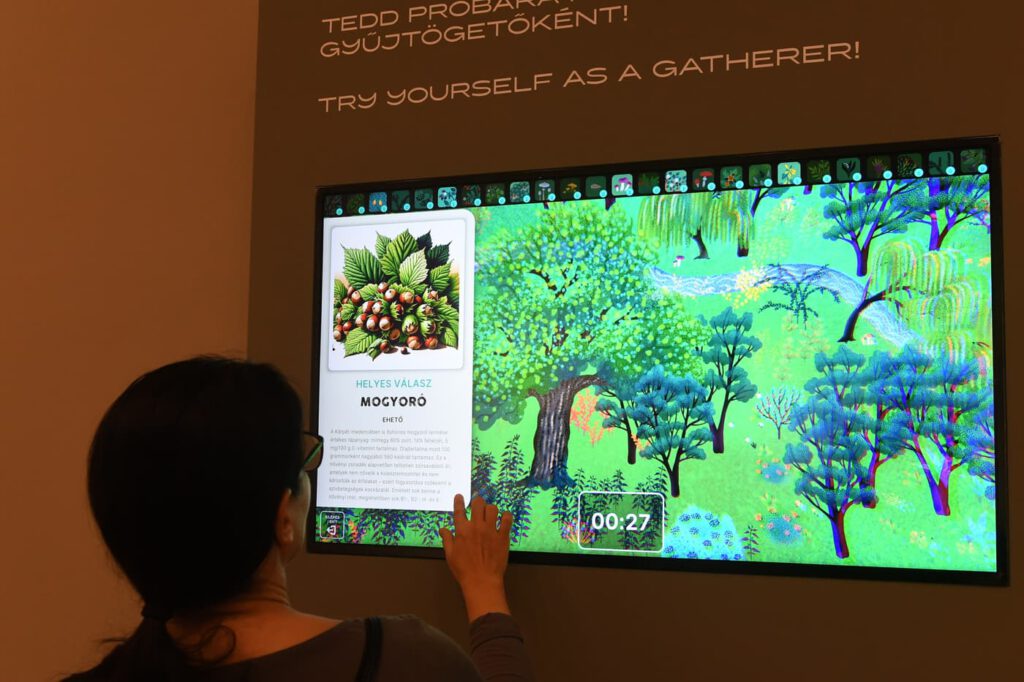 Új kiállítás nyílt a Vármúzeumban a Gyűjtögetőktől a honfoglalókig Budapest földjén címmel