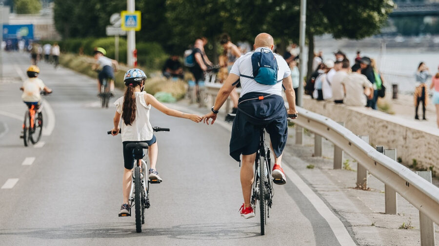 Nyáron folytatódik a pesti alsó rakpart fásítása