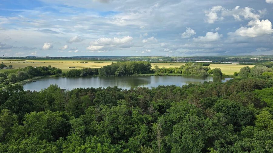 Zöld oázis Budapest peremén: a Naplás-tó és környezete