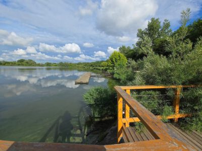 Zöld oázis Budapest peremén: a Naplás-tó és környezete