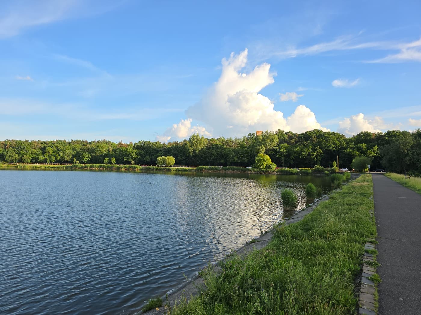 Zöld oázis Budapest peremén: a Naplás-tó és környezete