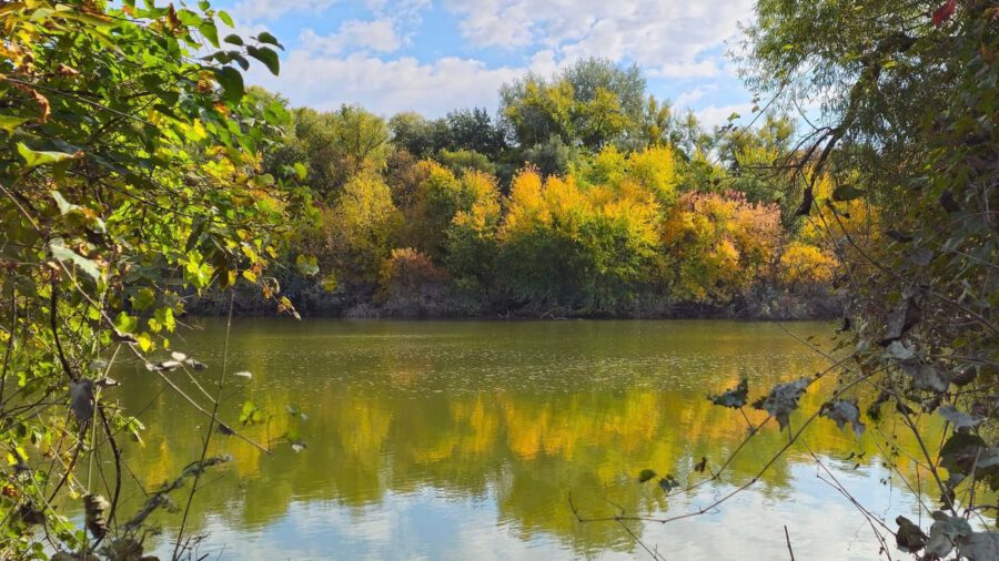 Őszi séták a Hárosi-öbölben: Budapest rejtett természeti csodája