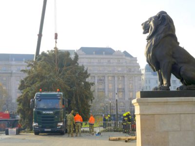 Az Ország Karácsonyfája: egy 45 éves, 20 méter magas ezüstfenyő díszíti a Kossuth teret