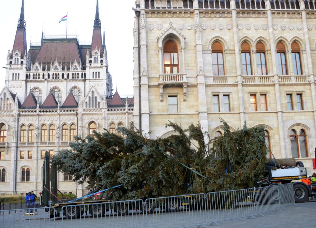 Az Ország Karácsonyfája: egy 45 éves, 20 méter magas ezüstfenyő díszíti a Kossuth teret