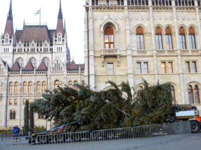 Az Ország Karácsonyfája: egy 45 éves, 20 méter magas ezüstfenyő díszíti a Kossuth teret
