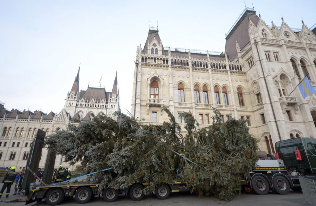 Az Ország Karácsonyfája: egy 45 éves, 20 méter magas ezüstfenyő díszíti a Kossuth teret