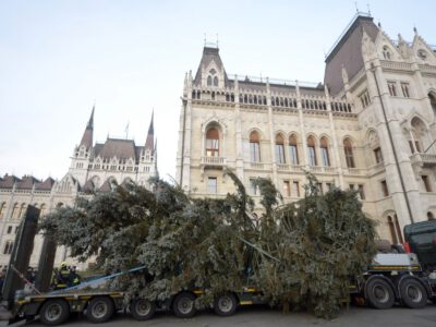 Az Ország Karácsonyfája: egy 45 éves, 20 méter magas ezüstfenyő díszíti a Kossuth teret