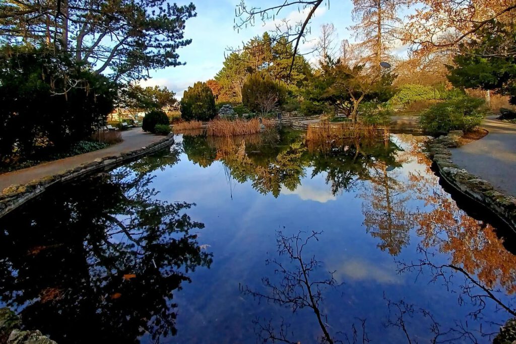 Téli harmónia a Margit-sziget Japánkertjében