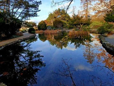 Téli harmónia a Margit-sziget Japánkertjében