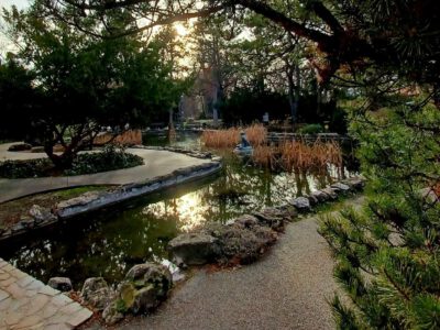 Téli harmónia a Margit-sziget Japánkertjében