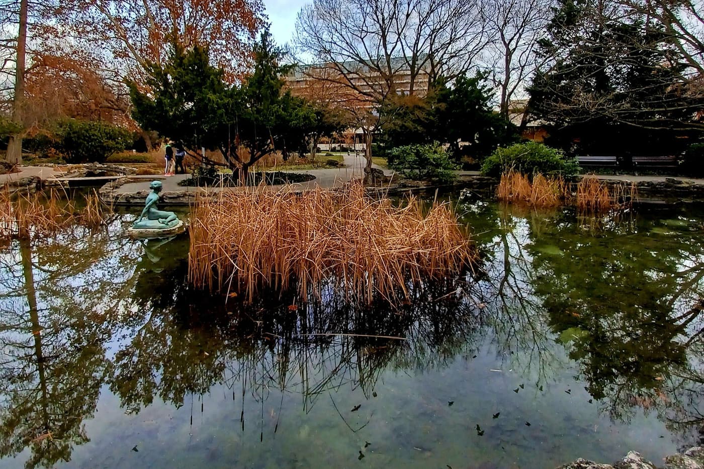 Téli harmónia a Margit-sziget Japánkertjében