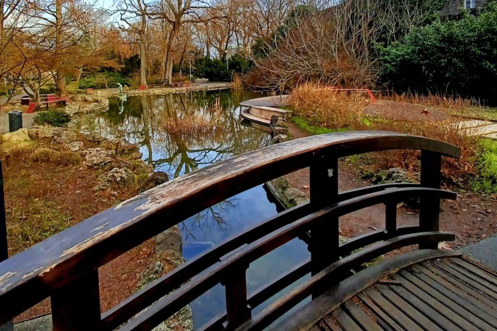 Téli harmónia a Margit-sziget Japánkertjében