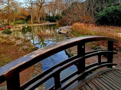 Téli harmónia a Margit-sziget Japánkertjében