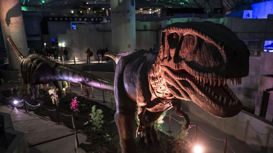 Dinoszauruszkiállítás nyílt a Fővárosi Állatkert Biodómjában