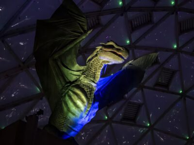 Dinoszauruszkiállítás nyílt a Fővárosi Állatkert Biodómjában