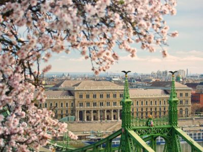 Tavaszi varázs a Gellért-hegyen: virágba borultak a mandulafák