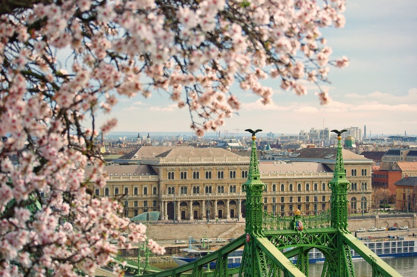 Tavaszi varázs a Gellért-hegyen: virágba borultak a mandulafák