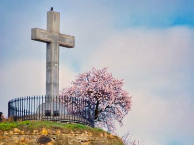 Tavaszi varázs a Gellért-hegyen: virágba borultak a mandulafák