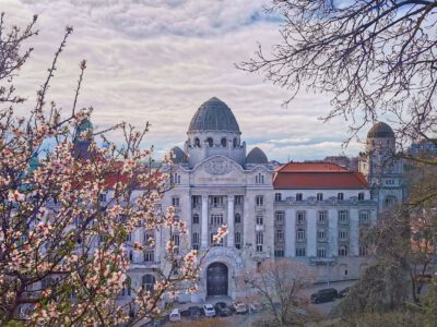 Tavaszi varázs a Gellért-hegyen: virágba borultak a mandulafák