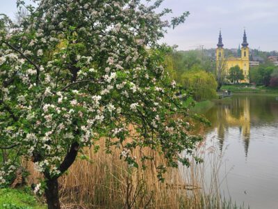 Feneketlen titkok Budán – A tó, amely elnyelte a téglagyárat