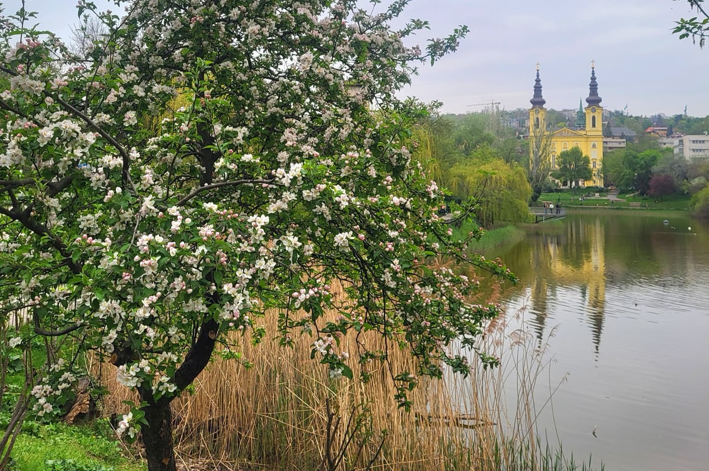 Feneketlen titkok Budán – A tó, amely elnyelte a téglagyárat